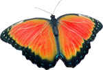 Element_graficzny[1].png